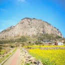 대인종합슈퍼 이미지