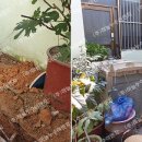 터진목로 이미지