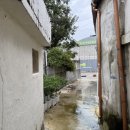 솔섬마을 관광펜션 | [전주 숙소 추천] 전주펜션 똘랑코티지, 전주한옥마을펜션 독채 숙소 진짜 좋았던 후기