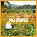양정달마루마을 네이버블로그