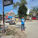 반딧불 프리미엄 이미지