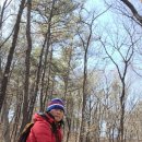 석주권필 유허비 이미지