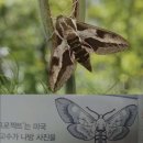 팅커벨 - 종로구 종로 266 | 팅커벨