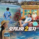 서부차유리 | 오키나와 자유여행 2일차(2) 후기｜추라우미 수족관·아메리칸빌리지 야경·현지마트까지 🌴🐋