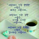 경호태권도체육관 이미지