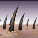 수원-0237 이미지