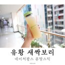 유황 새싹보리 분말스틱 네이처팜스 깔끔하네요!