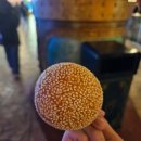 한서카써비스 | 베트남 다낭 여행(1) - 자연 미스트를 만끽하다