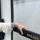 크러쉬 푸들 | ‘25 fam travel • 방방곡곡의 낭만