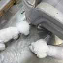 청심로132번길 이미지