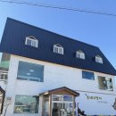 고양이 | 청주 고양이카페 유기묘 오창동네고양이 후기