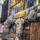 너구리 | 「종각 술집」 종각역 술집 종각역 전골 너구리소굴 후기