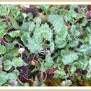 여주-0360 이미지