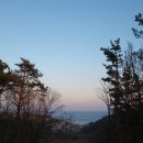 해돋이 가자 애견펜션 이미지