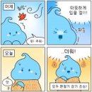 마이트짐 이미지
