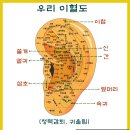 이혈(귀) 심리상담(건강관리) | ※이혈귀신, 쉽게 사용할 수 있는 혈자리,(청력감퇴, 귀울림)