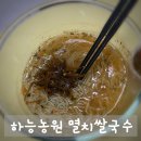 쌀꽃농원 | 밀가루 없이 즐기는 하능농원 글루텐프리 멸치쌀국수 솔직 후기