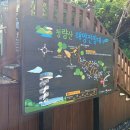 청량산 임도1 이미지