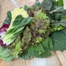 산골짜기쌈밥마을 | 광교산 등산; 산골짜기 쌈밥마을