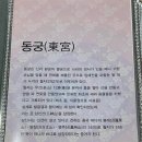 경주 황리단길 순두부짬뽕동궁 네이버블로그