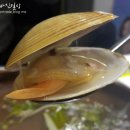 5평바다