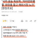 인셀덤 뷰티라인 이미지