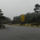 양구KCP호텔 이미지