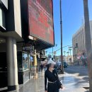 비치사랑민박 | la 여행 코스 그리피스천문대 할리우드 산타모니카 해변 미국 la 일일 시티 투어 뚜벅이