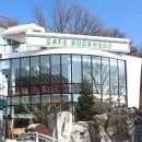 카페 벅헤드 이미지