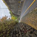 울산 솔마루길 (2025-11-9) : feat. 울산의 가을 이미지