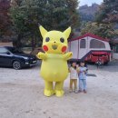 네스트캠핑장 이미지