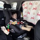 블루25 사천휴게소점 | 16개월 아기랑 남해&amp;사천 여행(상상양떼목장, 아르떼리조트, 아라마루 아쿠아리움)