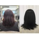 페이크블루 | 대전 톤다운 염색 추천 탄방동 블랑에서 해본 페이크 블랙 염색 후기