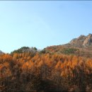 구봉산 이미지