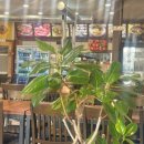 주전골산채마을 이미지