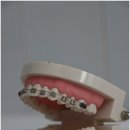 365베스트치과의원 이미지