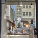 까까오독 애견미용실 | [대전 가오동] 애견미용으로 유명한 가오동애견미용실 러블리독, 밤이의 애견미용 솔직후기