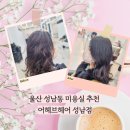 울산 성남동 미용실 어헤브헤어 성남점 새치 커버 퍼스널 컬러 브라운 염색 추천