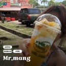 핑크망고 | 코타키나발루 핑크 모스크 카페 미스터망 방문 후기 망고주스 메뉴 위치 가격