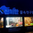 광명관광주