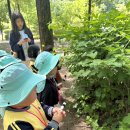 🌳자연놀이터-부곡 어린이 숲 체험원🌿 이미지