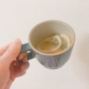 지영이네농장 이미지