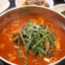 초당훈이 이미지