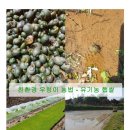 초록애농부