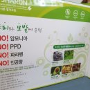 엘샤론염색