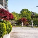 강천보건진료소 이미지