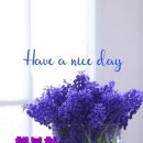 Niceday 이미지