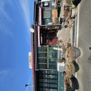 초록집 | 초록 정원 같은 장어집 산청 지리산약초장어 점심특선 후기