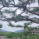 자운축산
