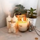 몽들(MONGDLE) 이미지